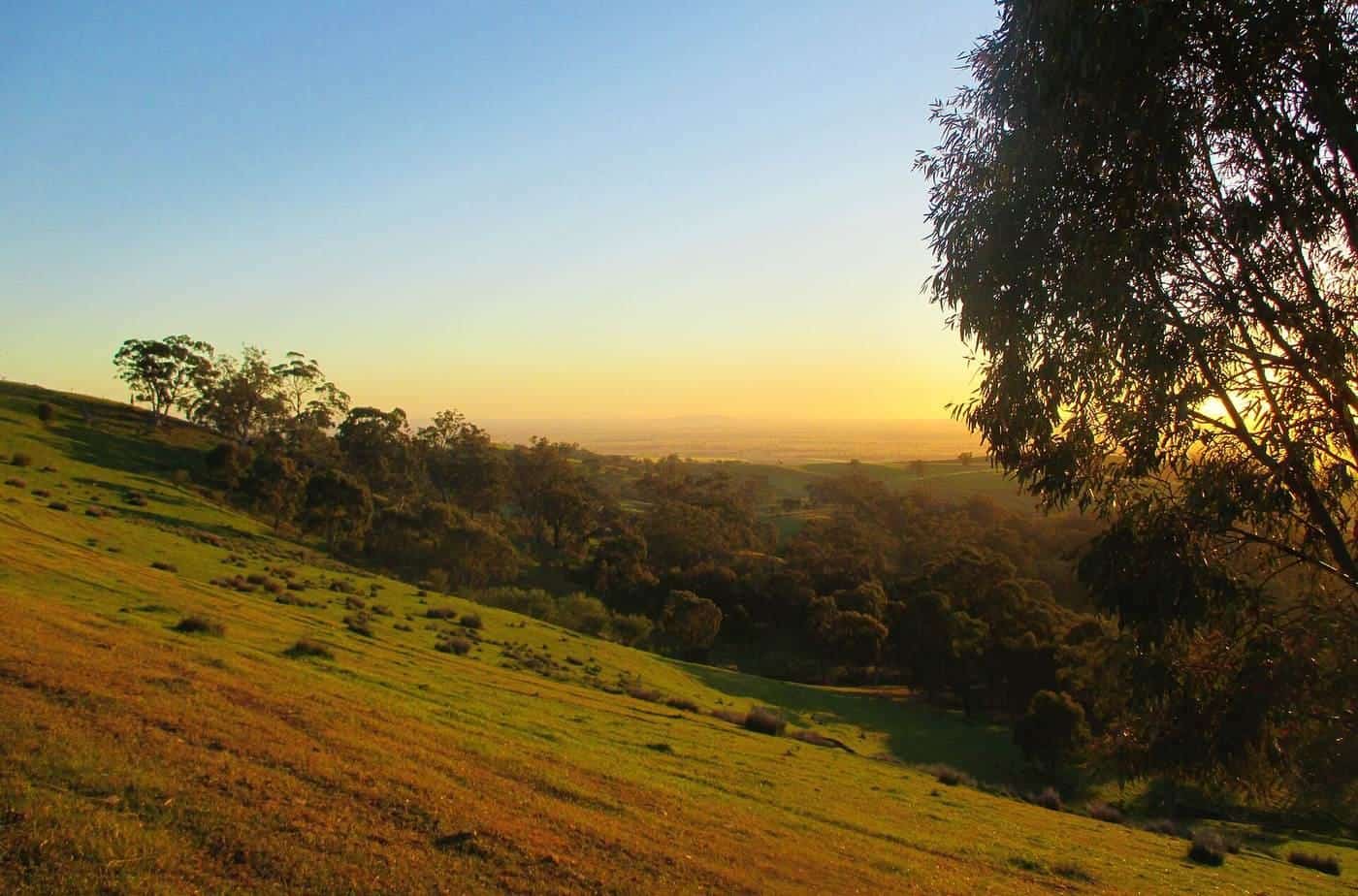 A long unsealed road toward ranges in inland South Australia